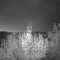 Webcam_20200423-050000