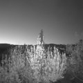 Webcam_20200423-051500
