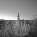 Webcam_20200423-053000