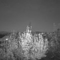Webcam_20200423-211500