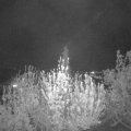 Webcam_20200423-214500