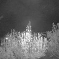 Webcam_20200423-220000