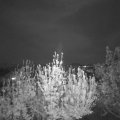 Webcam_20200424-213000