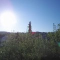 Webcam_20200427-080000
