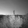 Webcam_20200428-051500