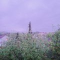 Webcam_20200428-210000