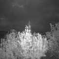 Webcam_20200501-050000