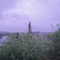 Webcam_20200501-054500