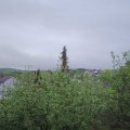 Webcam_20200501-063000