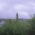 Webcam_20200501-070000