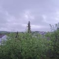 Webcam_20200501-071500