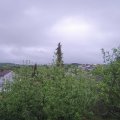 Webcam_20200501-073000