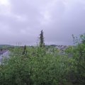 Webcam_20200501-074500