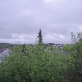 Webcam_20200501-081500