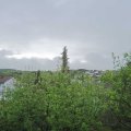 Webcam_20200501-083000