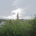 Webcam_20200501-091500