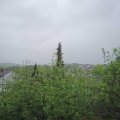 Webcam_20200501-094500