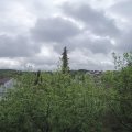 Webcam_20200501-104500