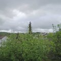 Webcam_20200501-110000