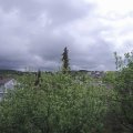 Webcam_20200501-114500