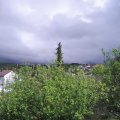 Webcam_20200501-151500
