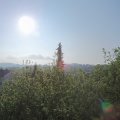 Webcam_20200503-083000