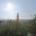 Webcam_20200503-084500