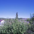 Webcam_20200505-161500