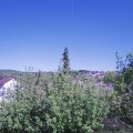 Webcam_20200507-161500