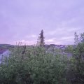 Webcam_20200508-054500