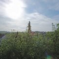 Webcam_20200508-084500