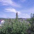 Webcam_20200508-151500
