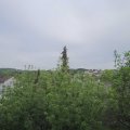 Webcam_20200508-181500
