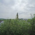 Webcam_20200509-103000