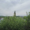 Webcam_20200509-113000