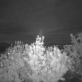 Webcam_20200510-220000