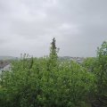 Webcam_20200511-113000