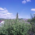 Webcam_20200512-163000