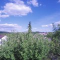 Webcam_20200512-170000