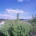 Webcam_20200512-174500
