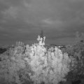 Webcam_20200513-214500