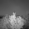 Webcam_20200514-220000
