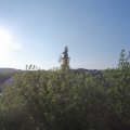 Webcam_20200515-073000