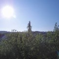 Webcam_20200515-081500