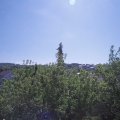 Webcam_20200515-104500