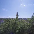 Webcam_20200515-110000