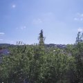 Webcam_20200515-111500