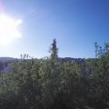 Webcam_20200519-074500