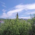 Webcam_20200519-123000