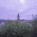 Webcam_20200520-051500